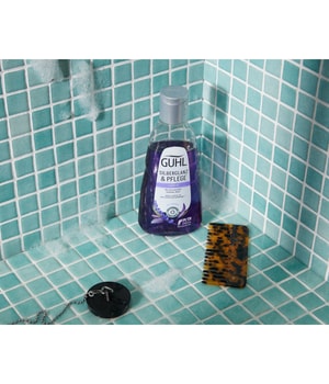 GUHL Silberglanz & Pflege Haarshampoo 250 ml