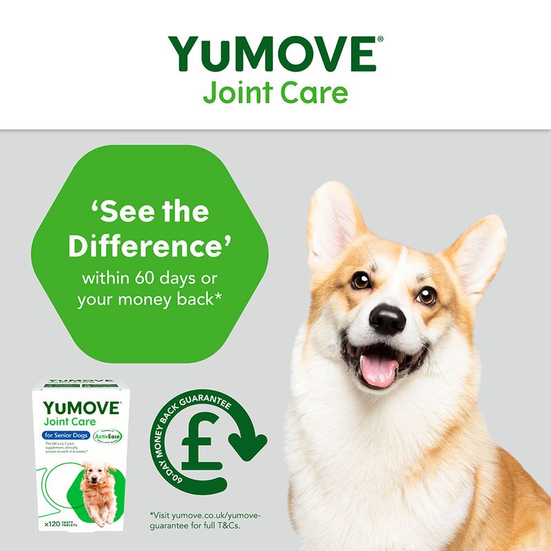 YuMOVE Gelenkpflege für ältere Hunde zu TOP-Preisen