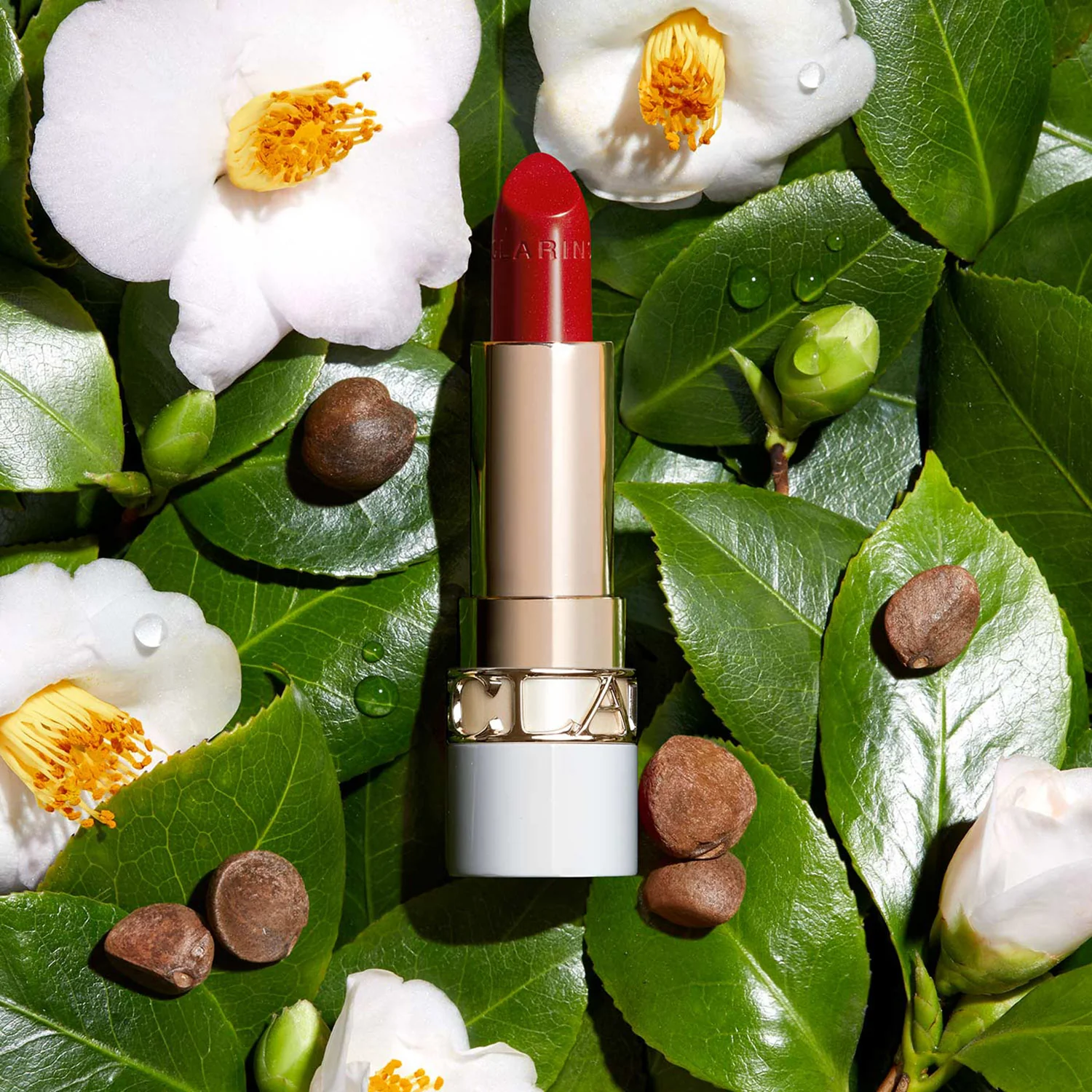 Joli Rouge Shine Lips - Lesklý rúž, Rúž