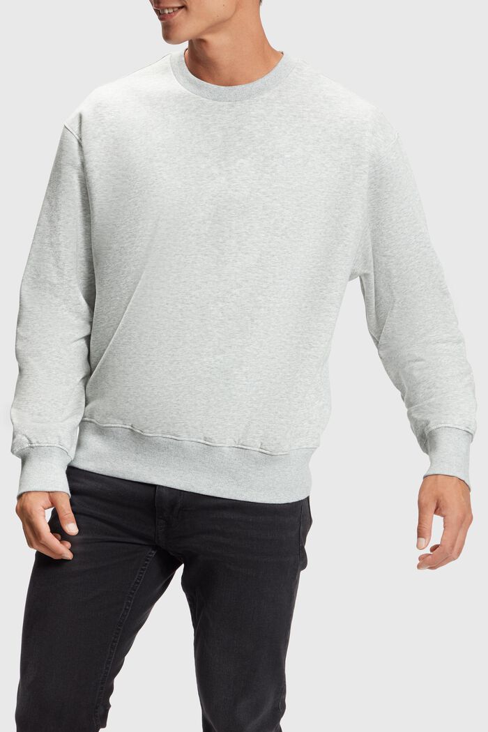 Color Dolphin Sweatshirt