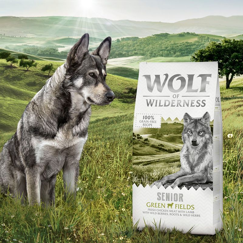 Wolf of Wilderness Senior 'Green Fields' - Lamm