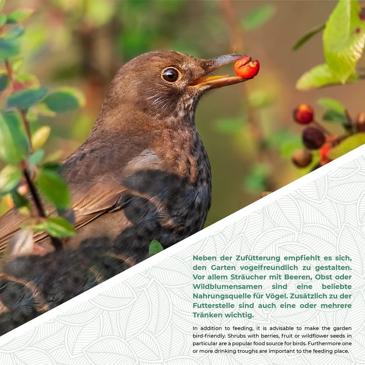 WILDLIFE FRIEND Wandhaken Wandhaken für Vogelfutterspender, Blumentopf & Vogeltränke, Braun A Gusseisen