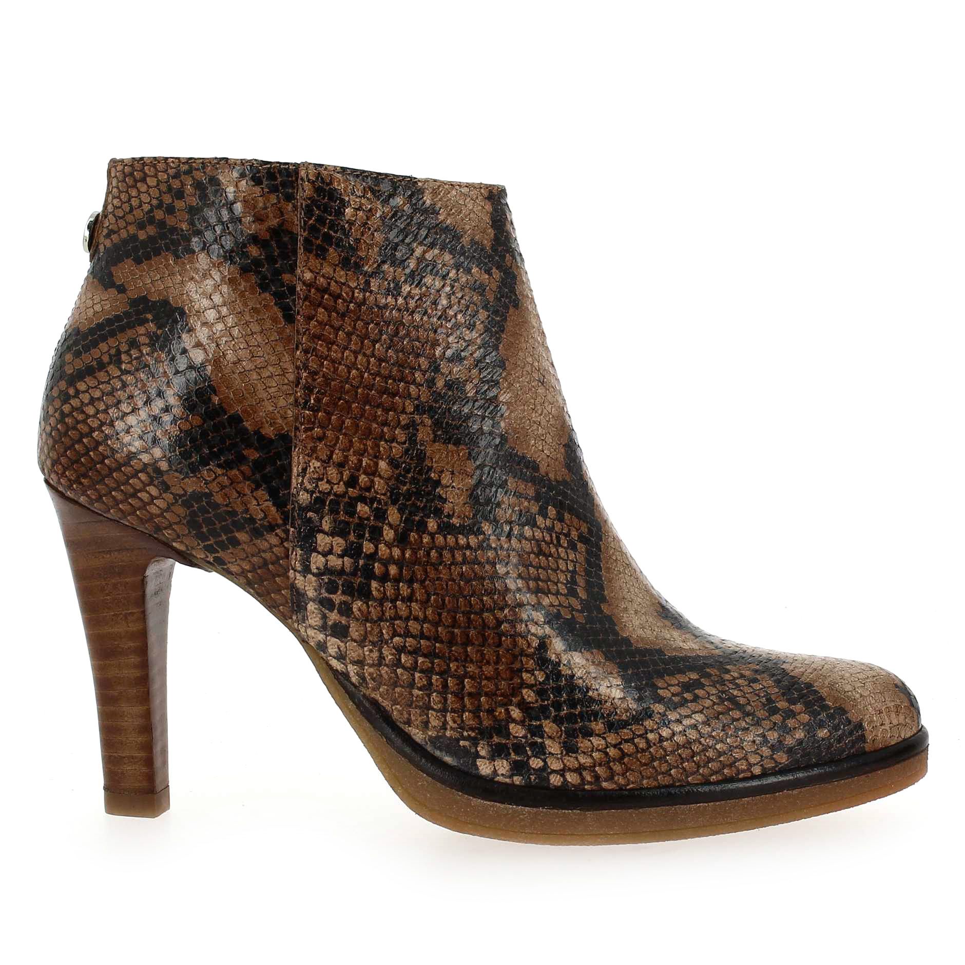 Janie Philip  MAX - Camel Python
