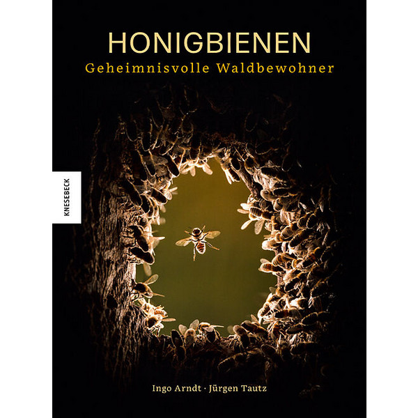 Honigbienen - geheimnisvolle Waldbewohner - Sachbuch