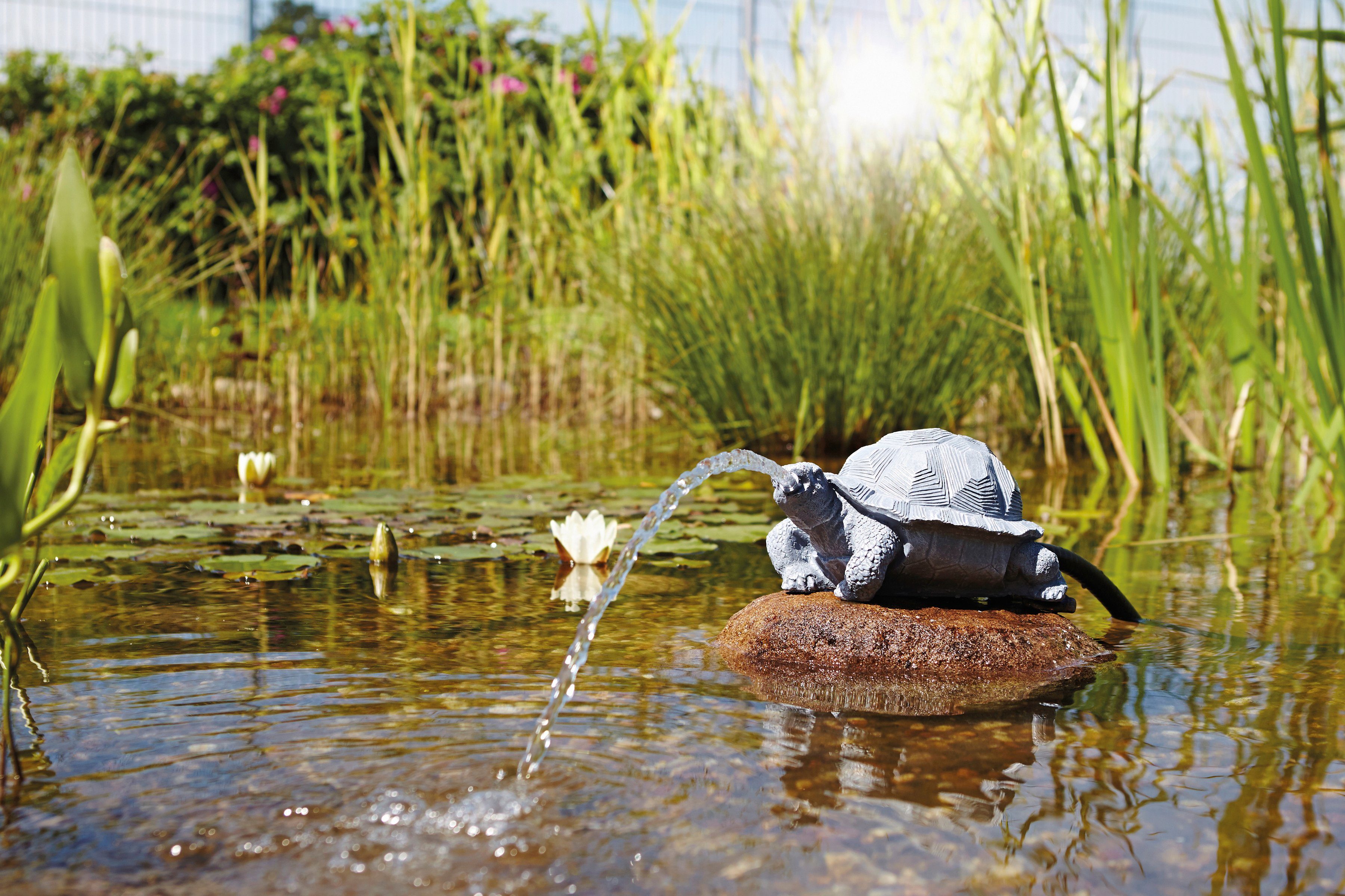 OASE Wasserspeier Schildkröte