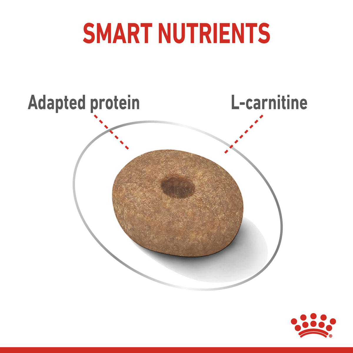ROYAL CANIN LIGHT WEIGHT CARE MINI Trockenfutter für zu Übergewicht neigenden Hunden