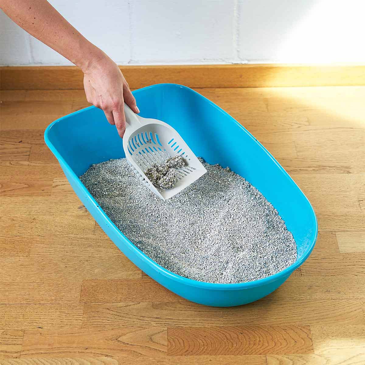 ZooRoyal Tigrooo Multi-Cat günstig kaufen