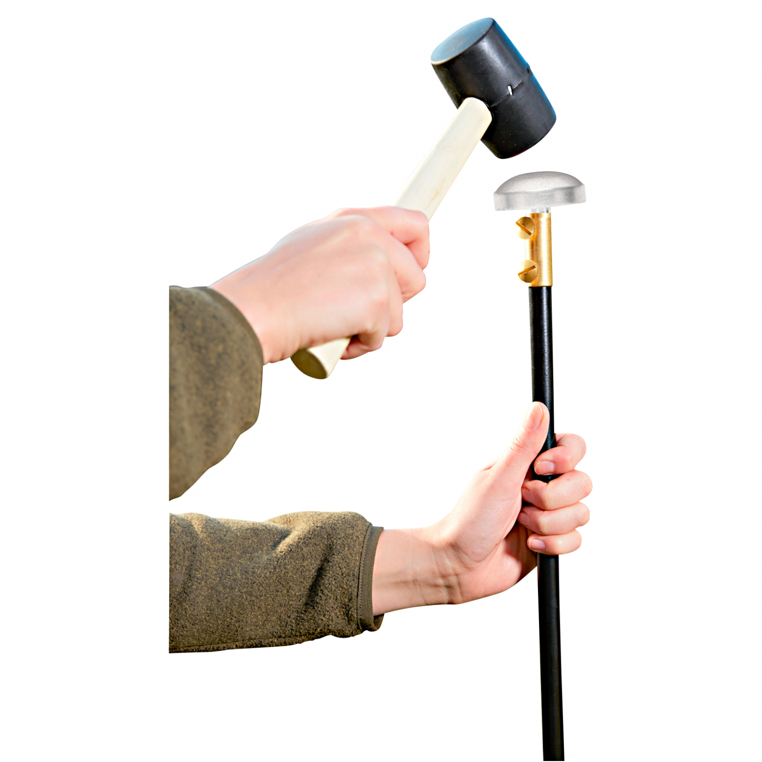 Perca Original Hammer Head