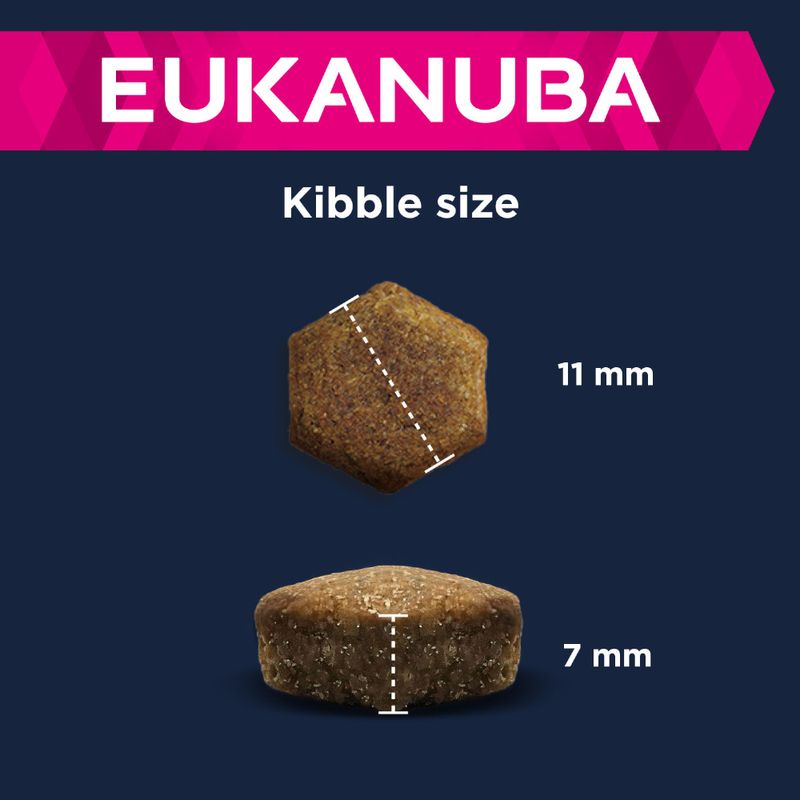 Eukanuba Puppy Large & Giant Breed Lamm & Reis