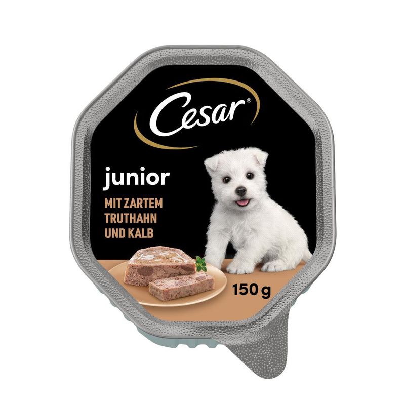 Sparpaket Cesar Junior Schale 28 x 150 g