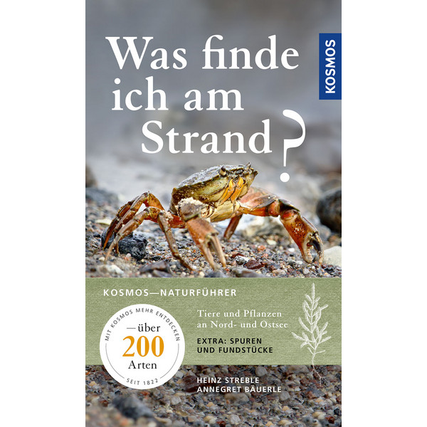 WAS FINDE ICH AM STRAND? - Ratgeber