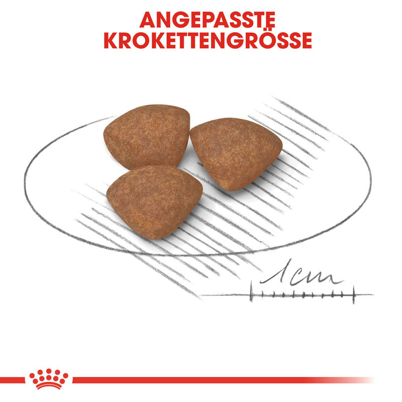 ROYAL CANIN Hundetrockenfutter ROYAL CANIN Mini Puppy 4 kg