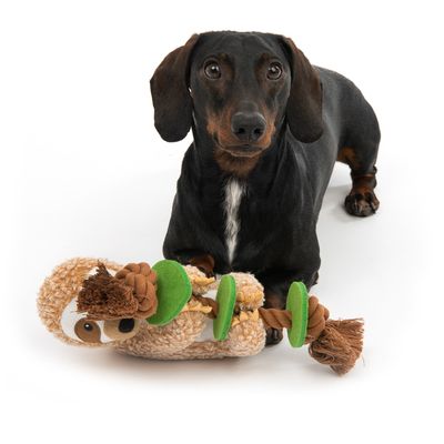 Hundespielzeug Faultier