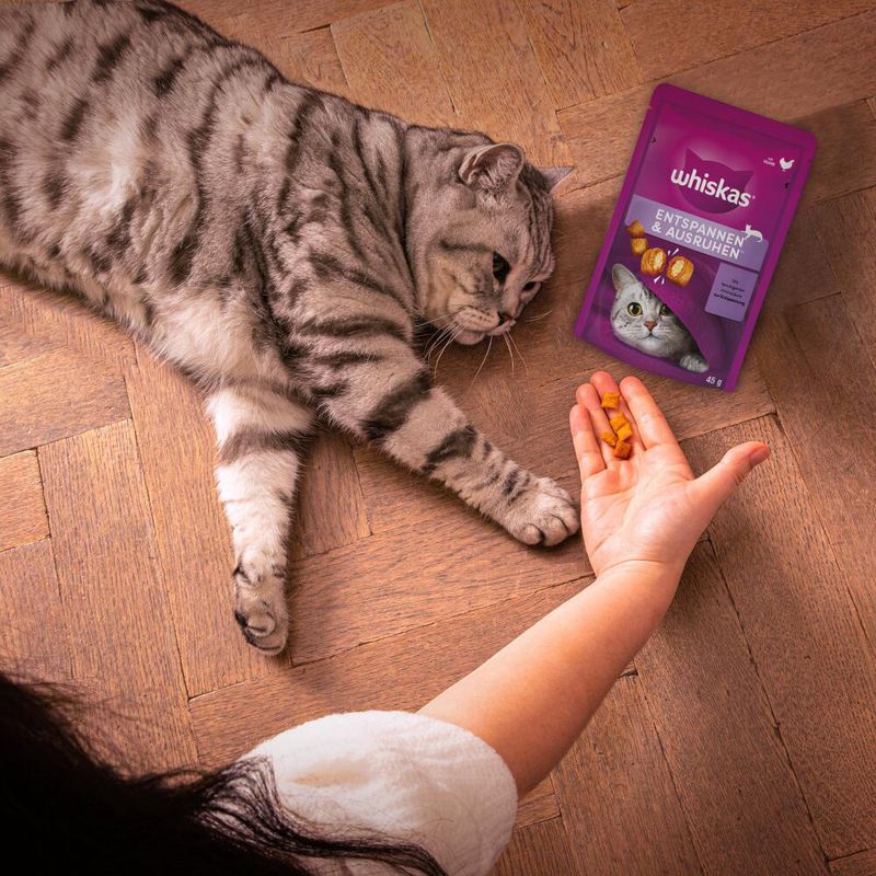 Whiskas Snacks Relax & Unwind zu TOP-Preisen