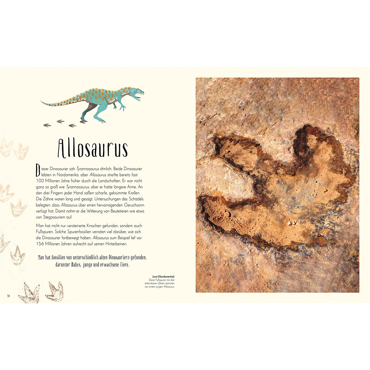 Wundervolle Welt der Dinosaurier