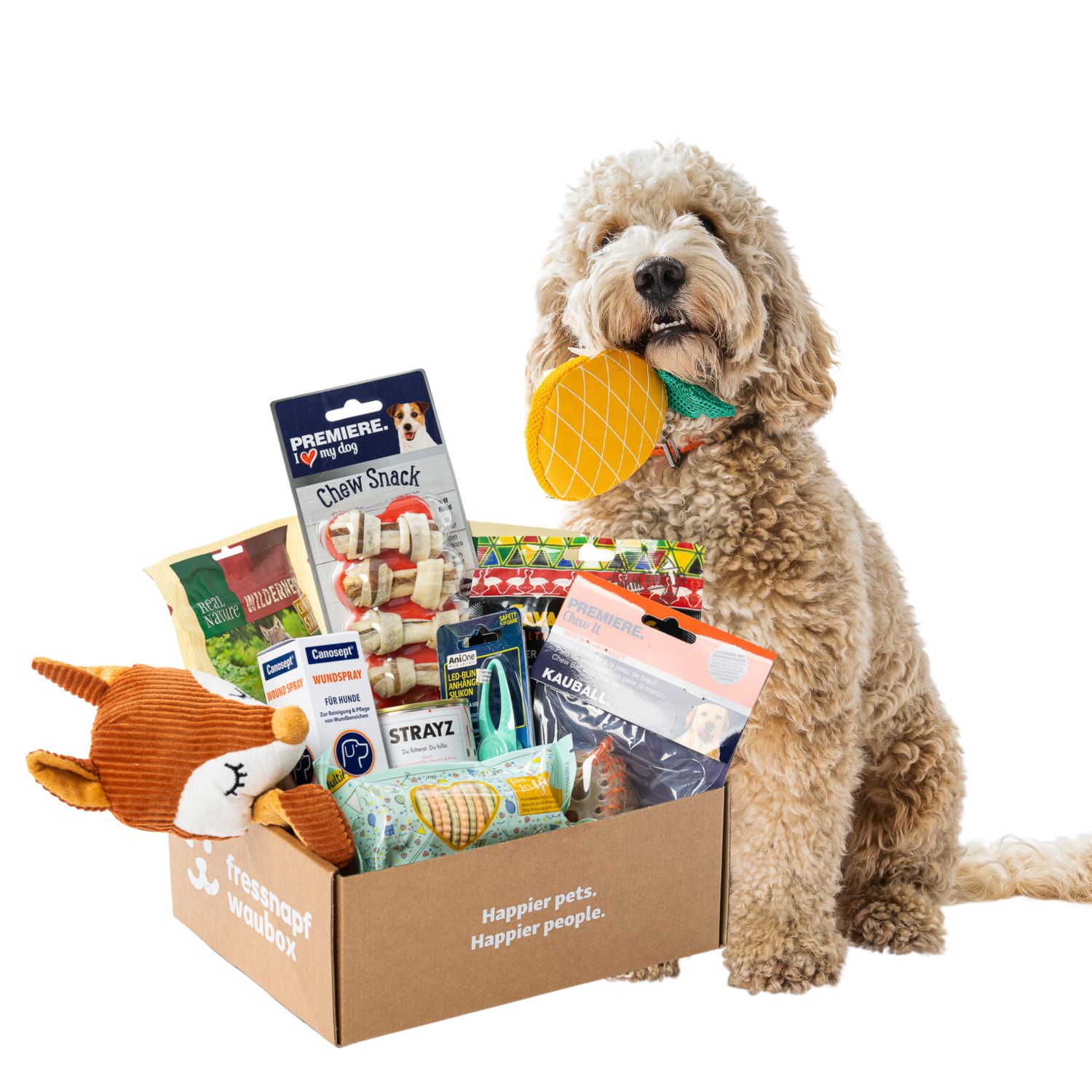 BOX Snacks BOX Waubox mittelgroße & große Hunde