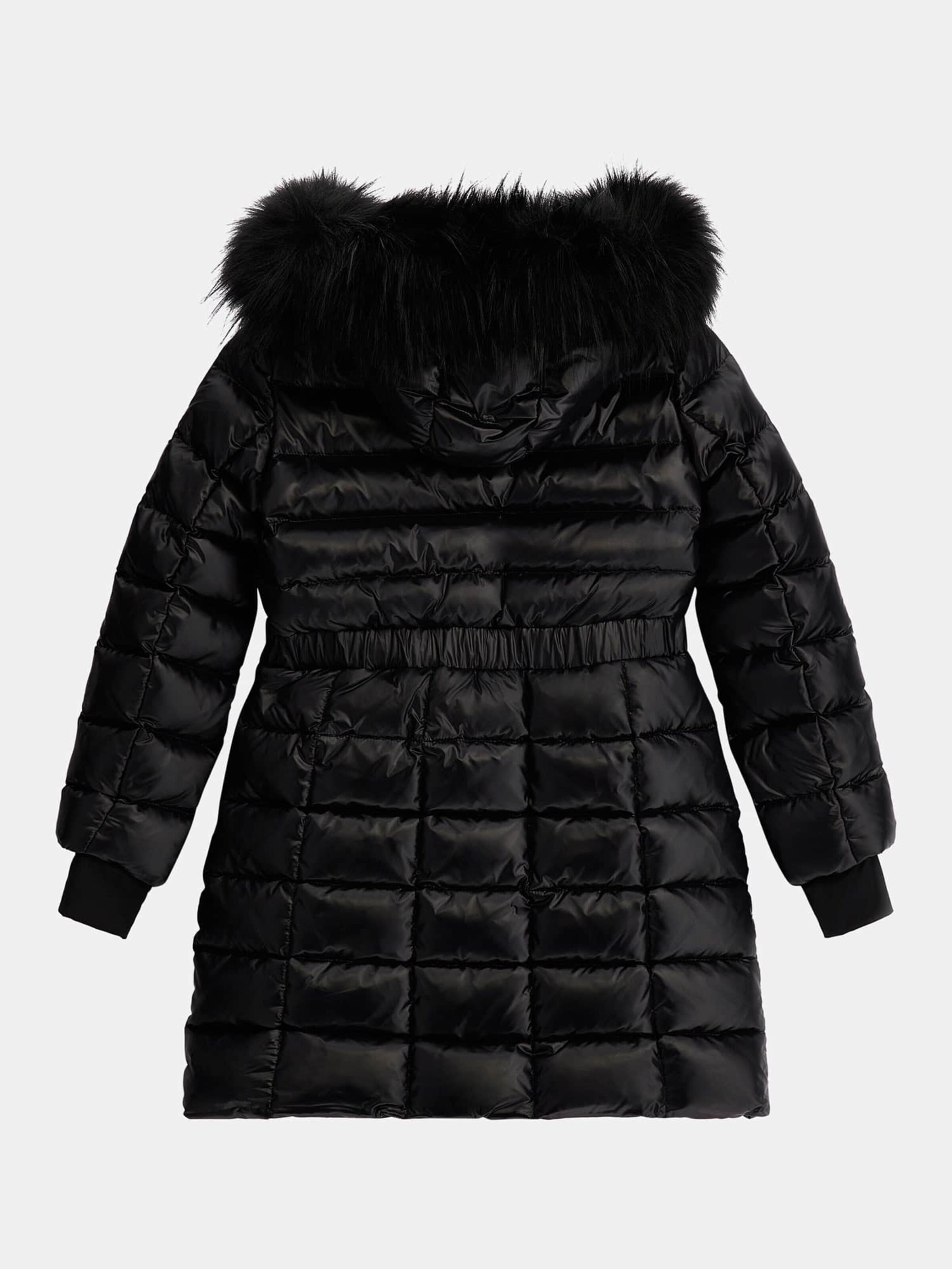 Winter Jacket