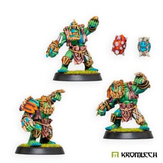 Kromlech Champi-Orcs! Team (16)