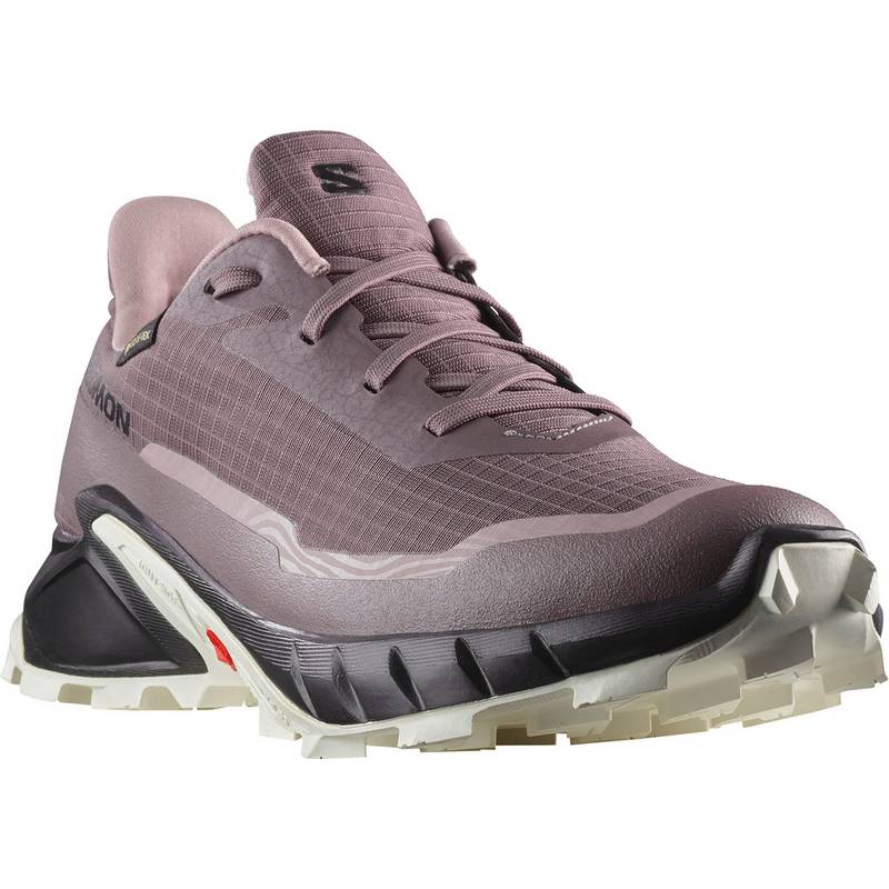Salomon ALPHACROSS 5 Multifunktionsschuhe Damen