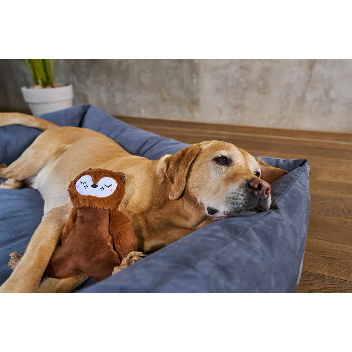 ZooRoyal Hundebett Dream anthrazit günstig kaufen