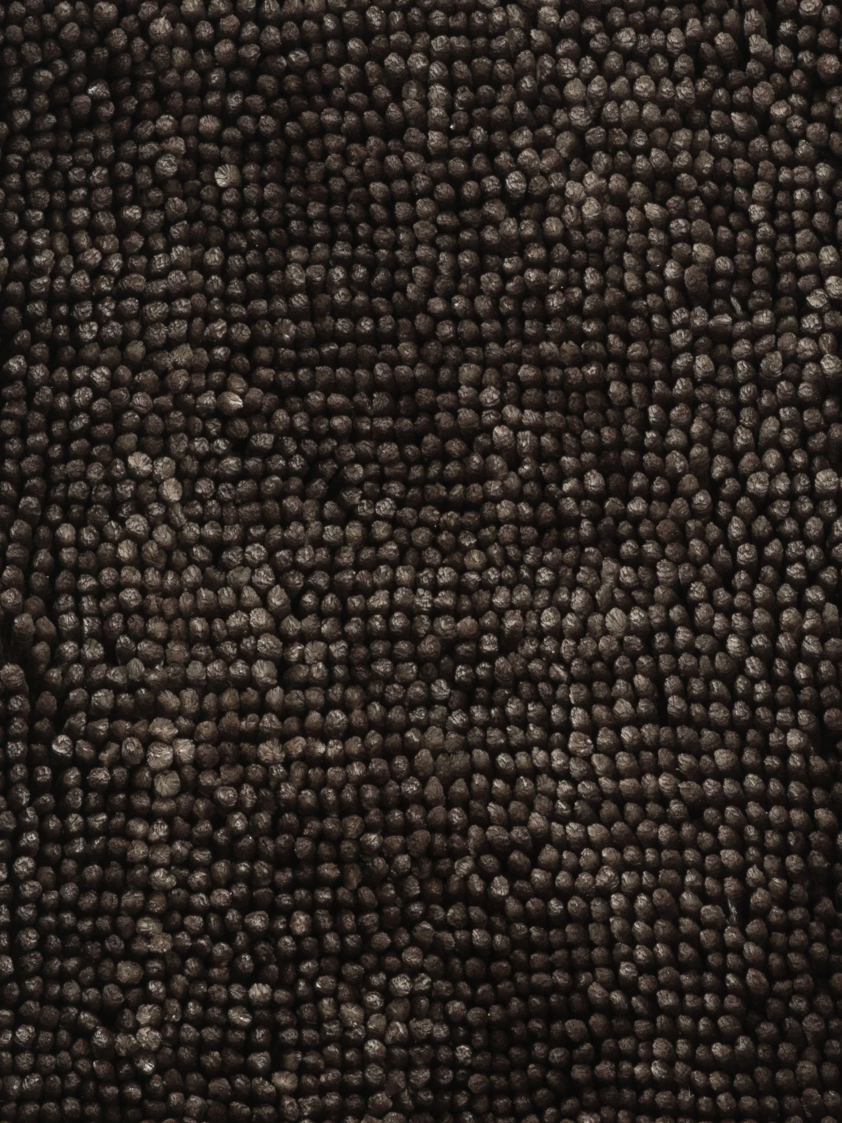 Torani Badematte, Snow
