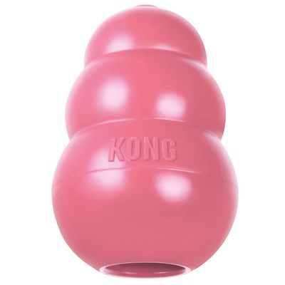 KONG Welpenspielzeug