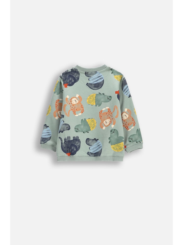 Coccodrillo Sweatshirt in khaki günstig kaufen 68