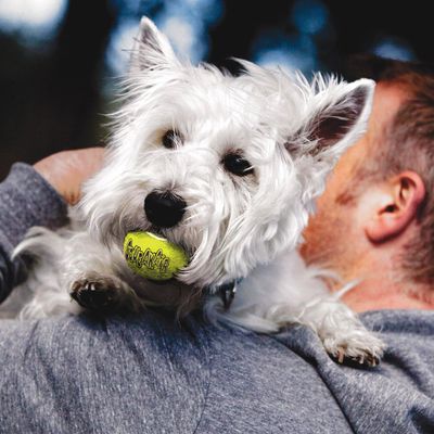 KONG Tennisbälle mit Quietscher
