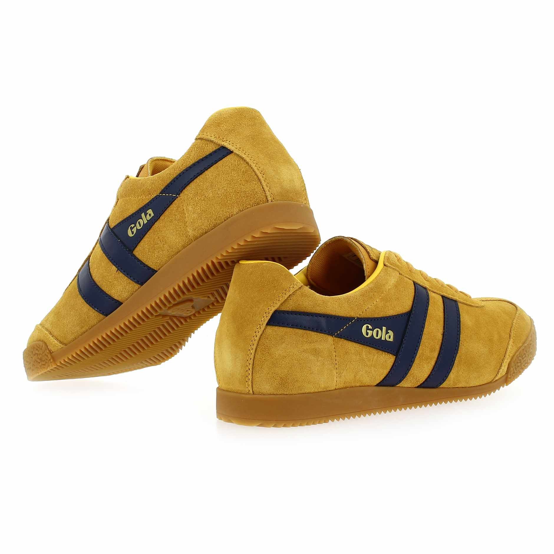 Gola  HARRIER - Jaune Marine