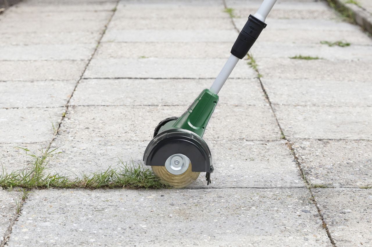 WOLFGANG TOOLS WOLFGANG Wildkrautbürste mit Netzkabel grün