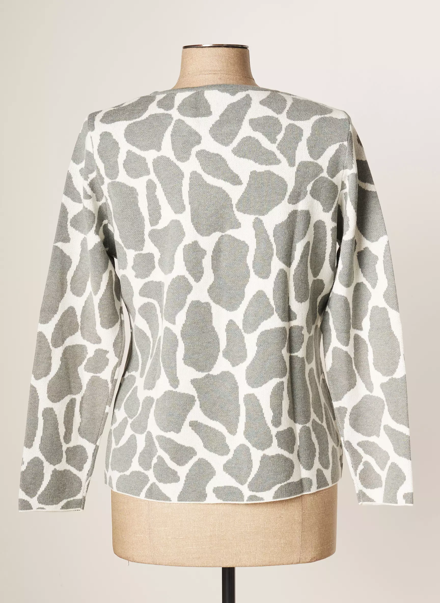 Rabe Pulls Femme couleur gris