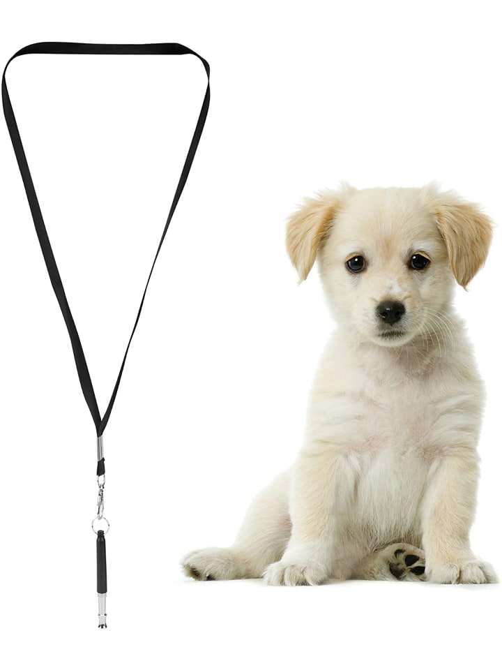 Intirilife Hunde Trainingspfeife mit Umhänge Band in SCHWARZ günstig kaufen onesize