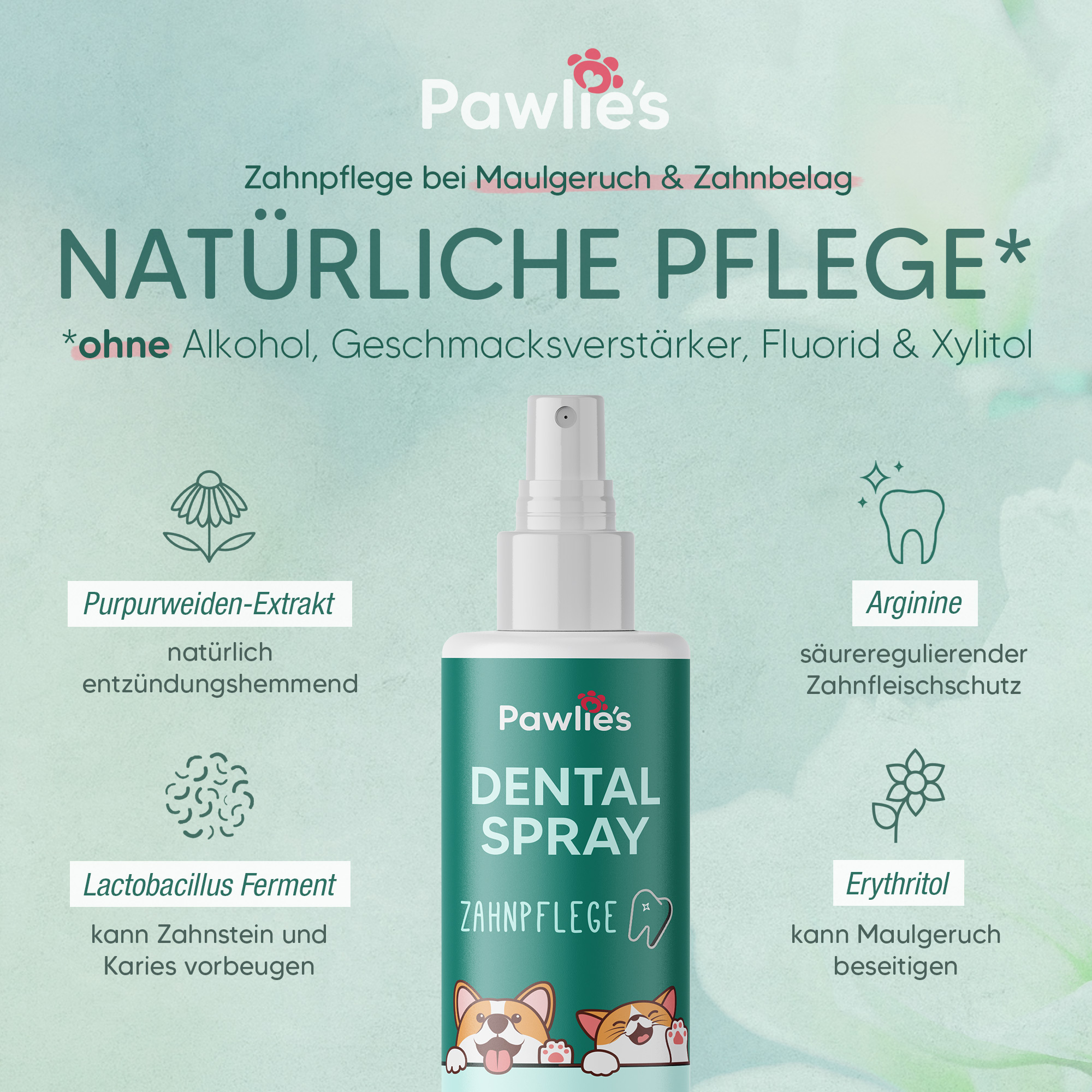 Pawlie's Zahnpflege Pawlie's Dentalspray Zahnpflege