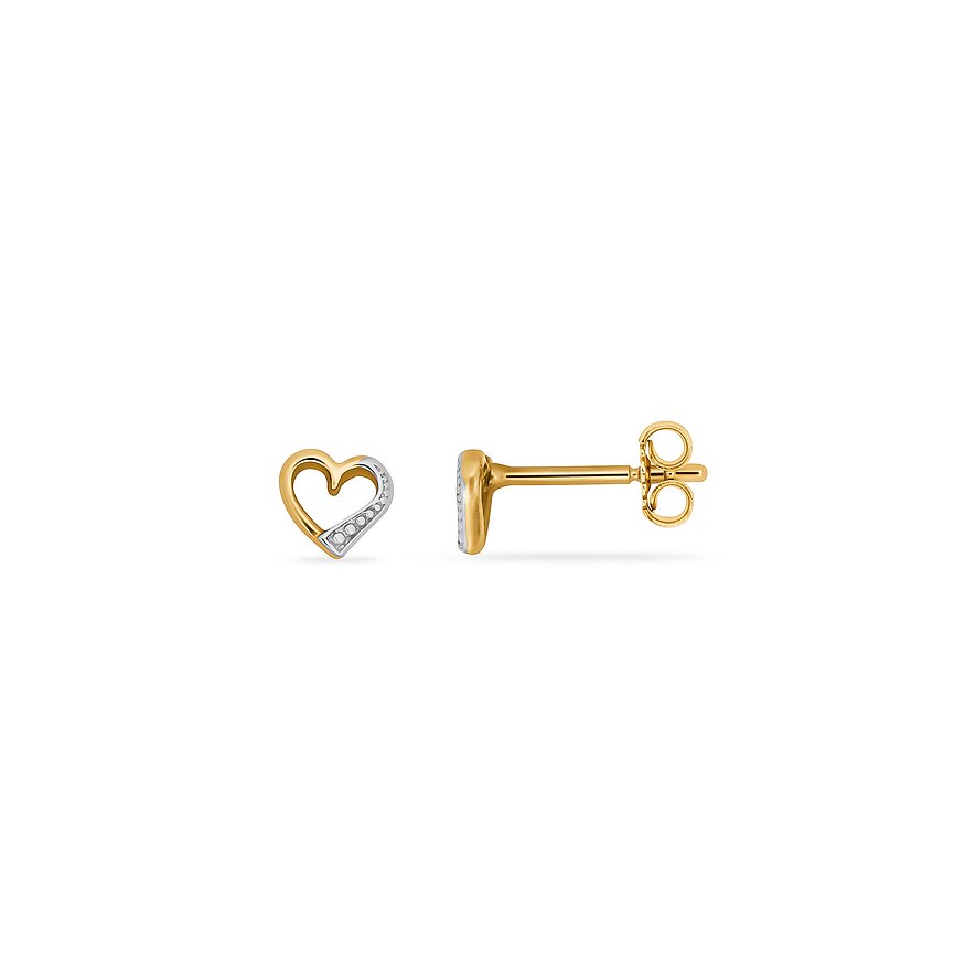 FAVS Ohrstecker