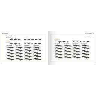 Panzerwaffe Tarnfarben: Camouflage Coulours and Organization of the german armoured Forde (1917-1945) (EN)