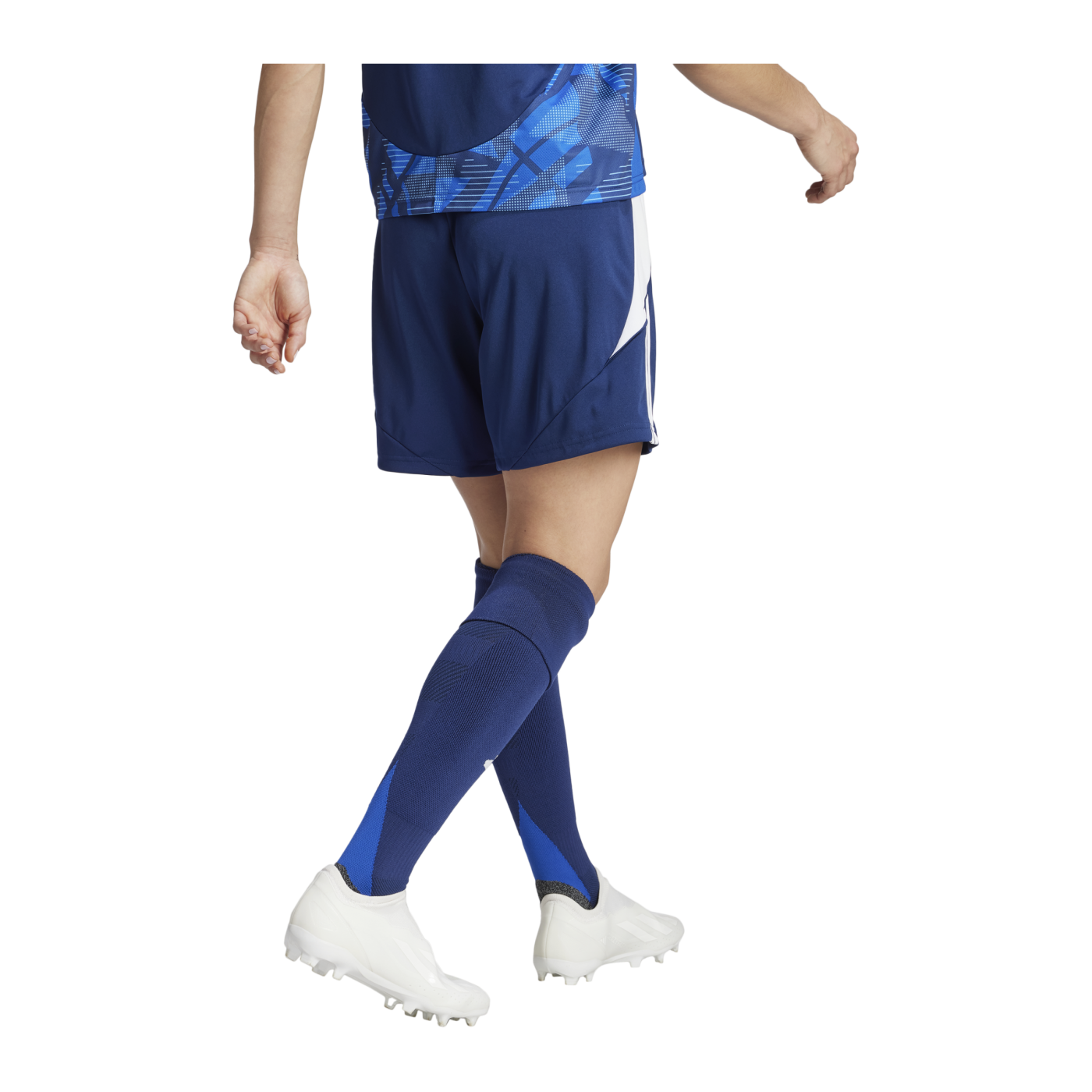 adidas Tiro 24 Short Damen Blau Weiss