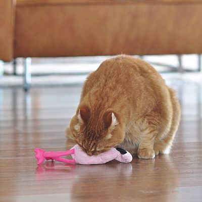 Aumüller Flamingo Pinky mit Baldrian und Dinkelspelz