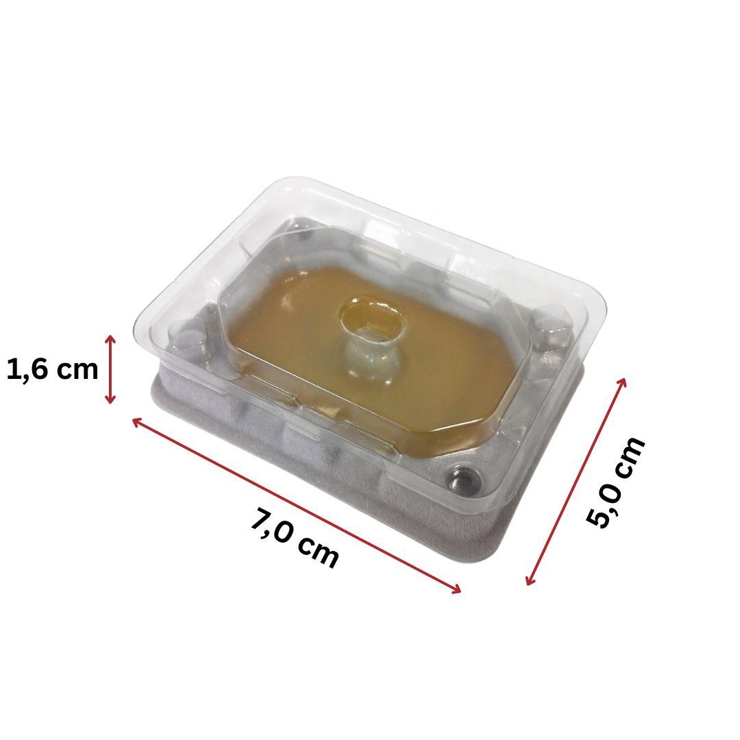 Catchmaster Insektenfalle Bettwanzen Monitor, Bettwanzenfallen zum Monitoring, mit Langzeitwirkung, 4er Set