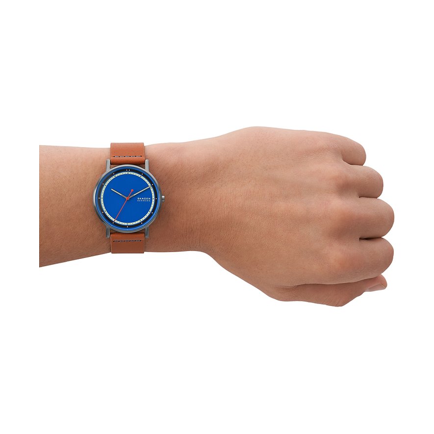Skagen Herrenuhr SIGNATUR