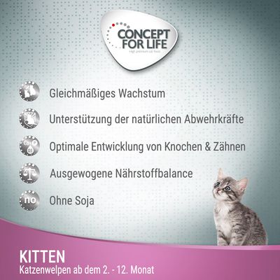 Concept for Life Kitten - in Gelee