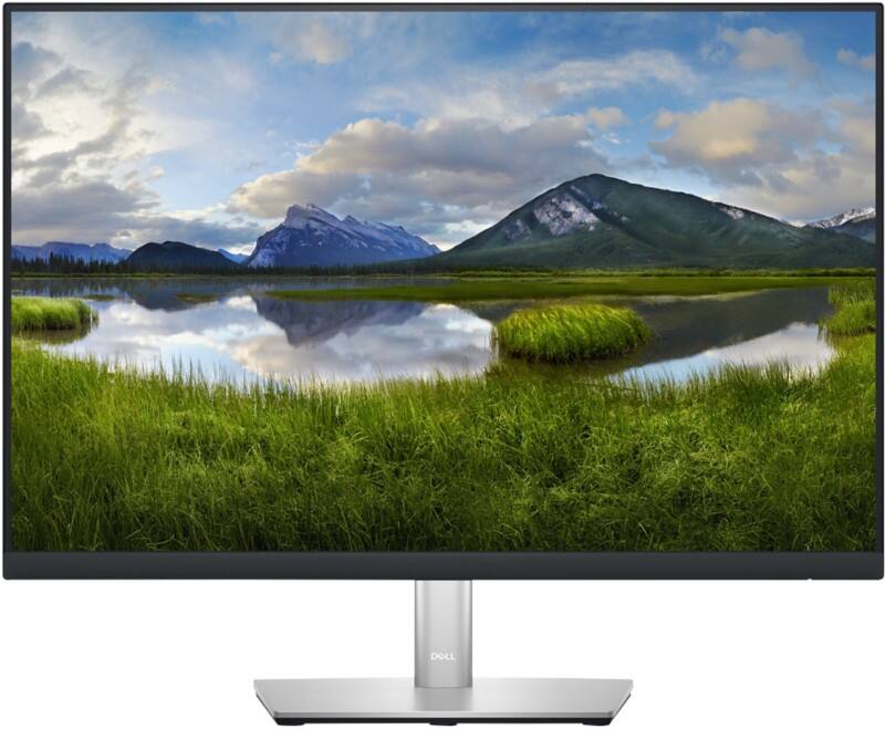 Dell LED-Monitor P2423 6,1 cm (2,4