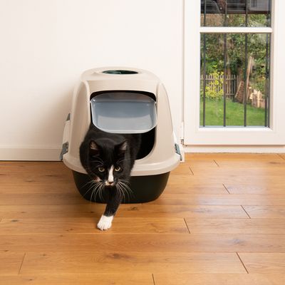 kooa Haubentoilette aus 90% recyceltem Plastik