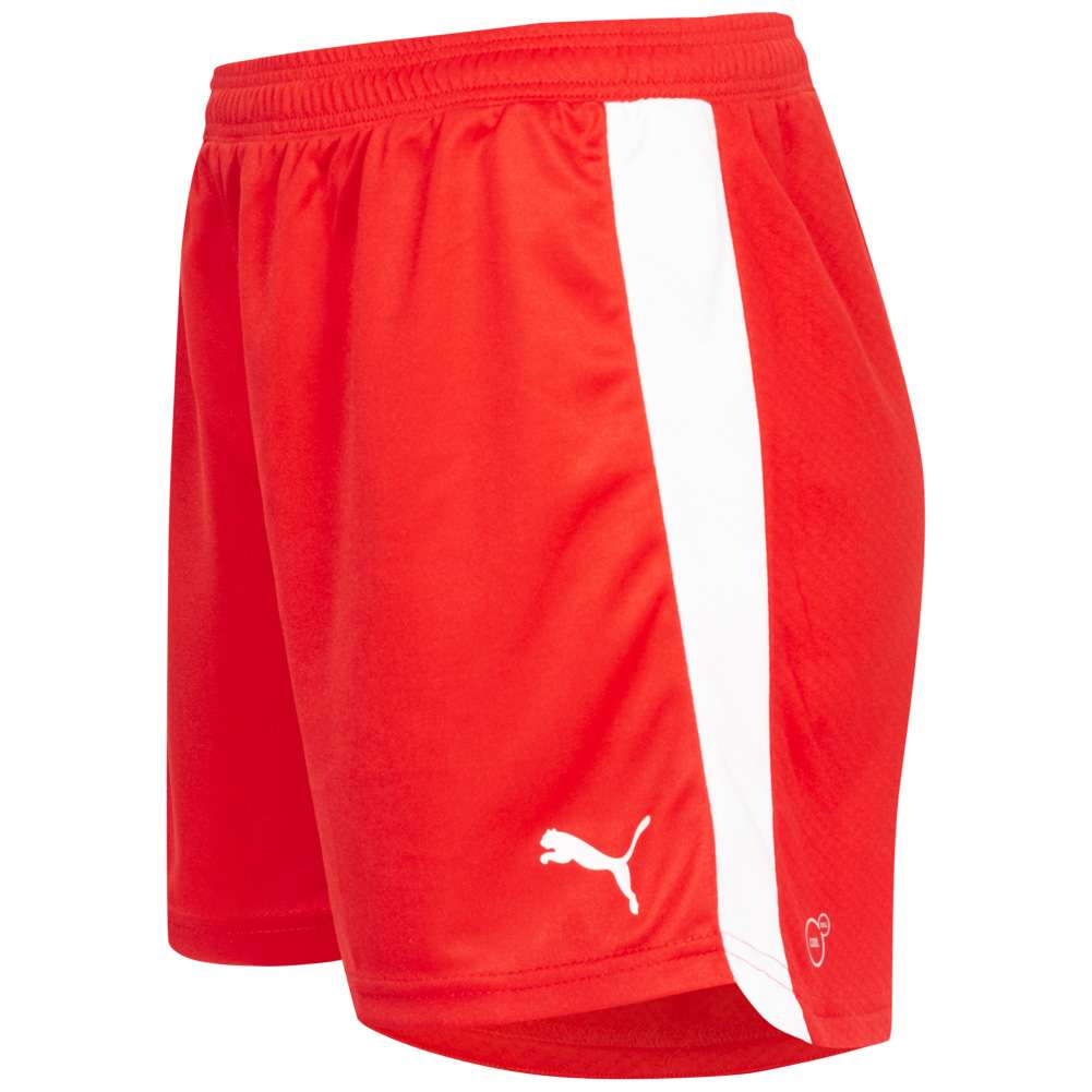 Dänemark PUMA Damen Auswärts Handball Shorts 744032-01