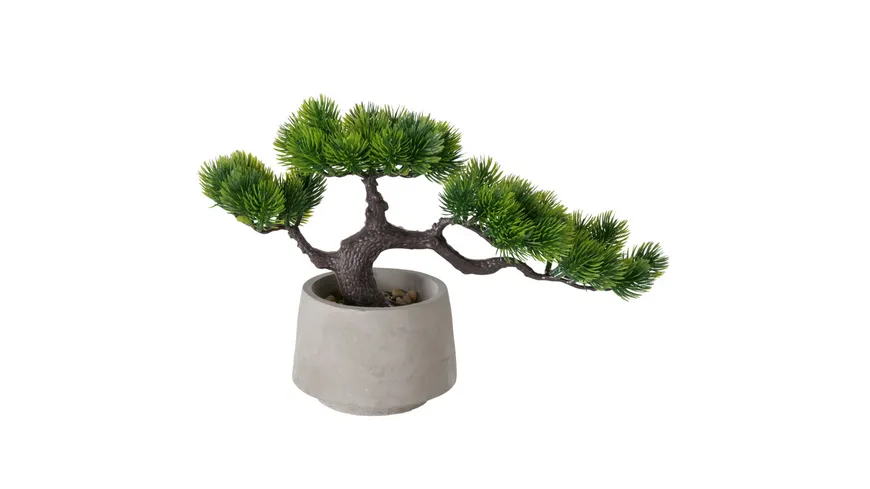 Boltze Topfpflanze 21cm Grau, Grün