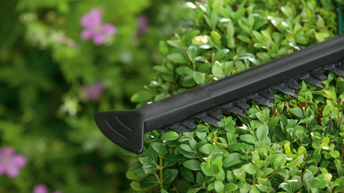 Cortasetos Bosch Green 0600847D01 EasyHedgeCut 60