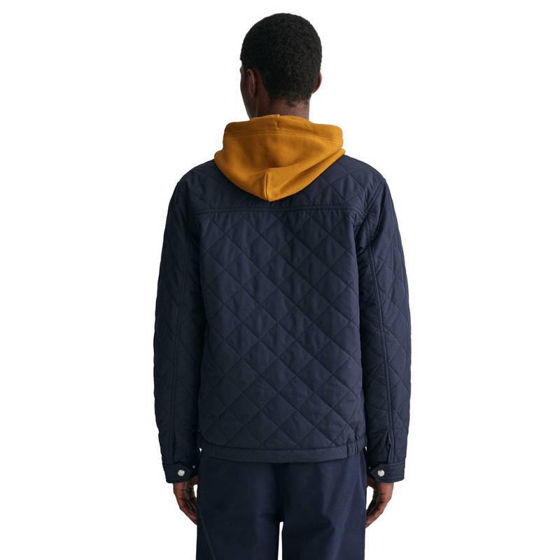 GANT Steppjacke Steppjacke Herren