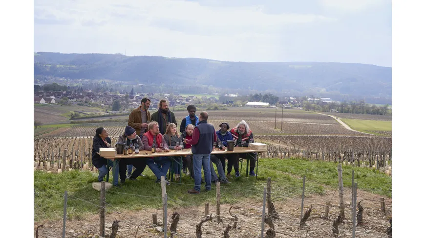 Weinprobe für Anfänger