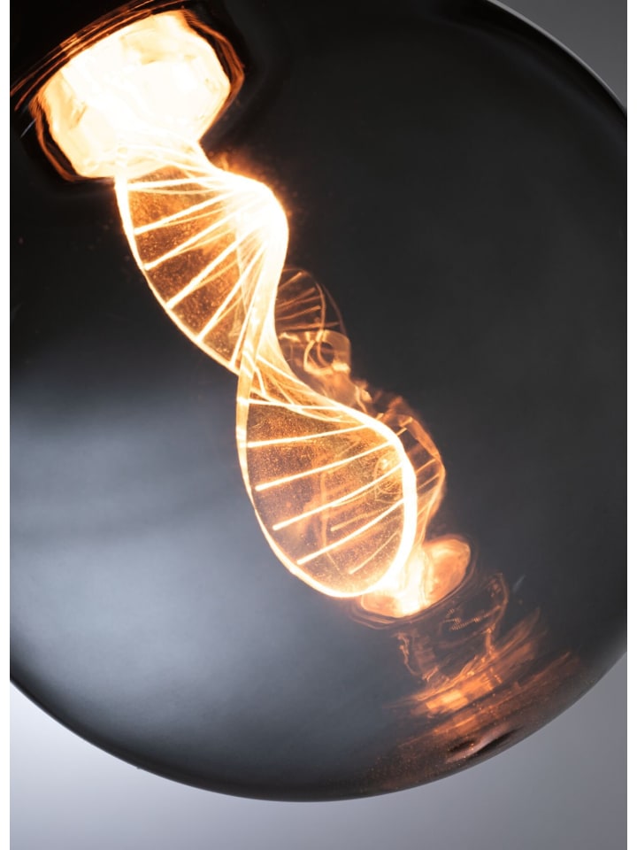 paulmann Inner Glow Edition LED Globe Helix günstig kaufen onesize
