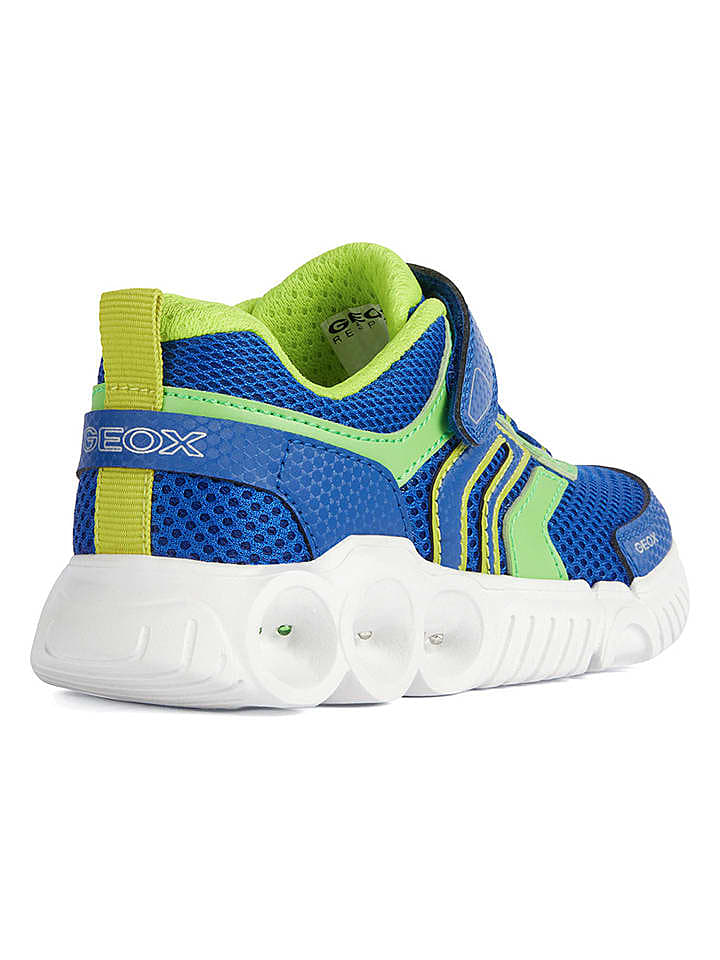 Geox Sneakers 