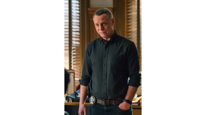 Chicago P.D. - Season 8  [4 DVDs]
